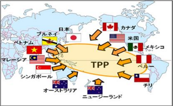 出所：経済産業省ウェブサイト 「TPP（環太平洋パートナーシップ）」より転載